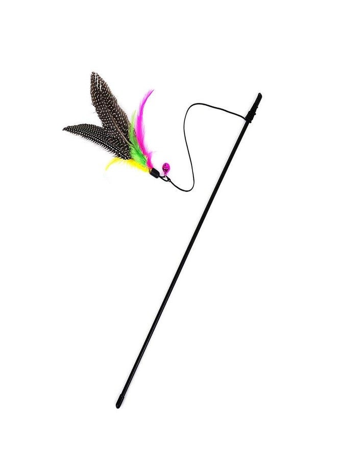 Western Era 47 cm Cat Playful Feather Toy Teaser Stick for Play and Training for Cat, Kitten, Puppy (1 Piece) (Random Color) - Image 5